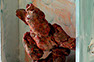 ruth dupre, dont forget to remember me, glass artwork, arthouse1 exhibition